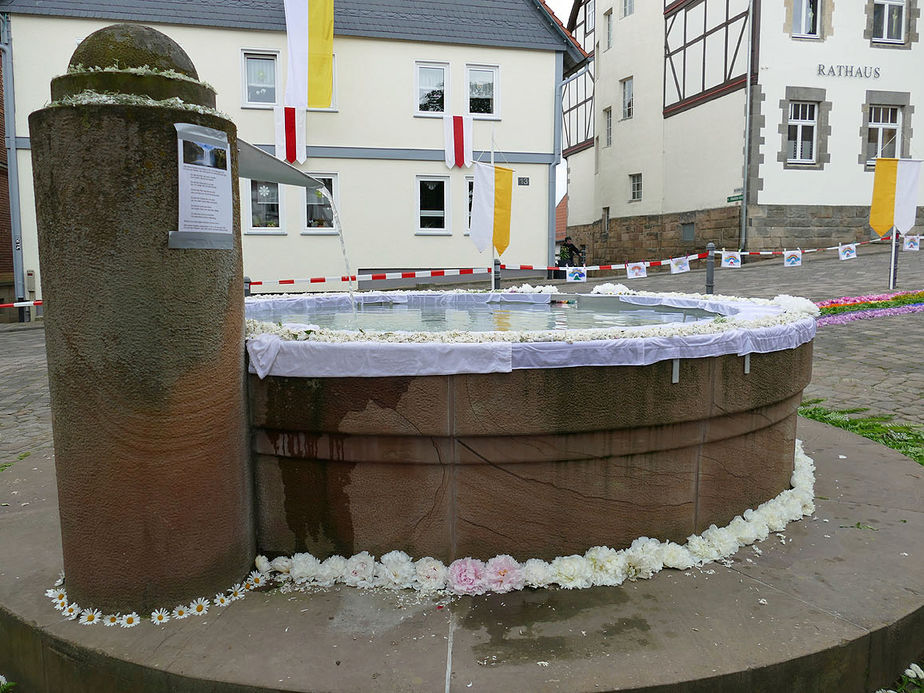 Bluemteppich auf dem Naumburegr Marktplatz (Foto: Karl-Franz Thiede)